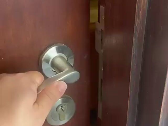 Video Image 1