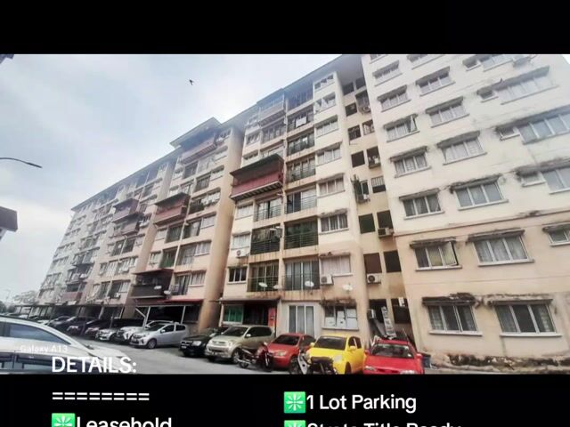 Video Image 1