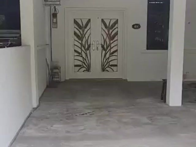 Video Image 1