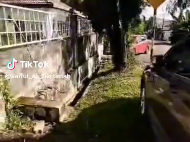 Video Image 1
