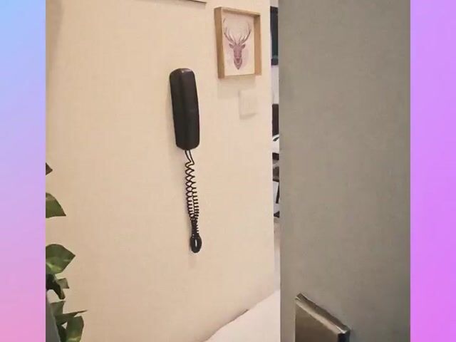 Video Image 1