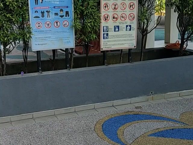 Video Image 1