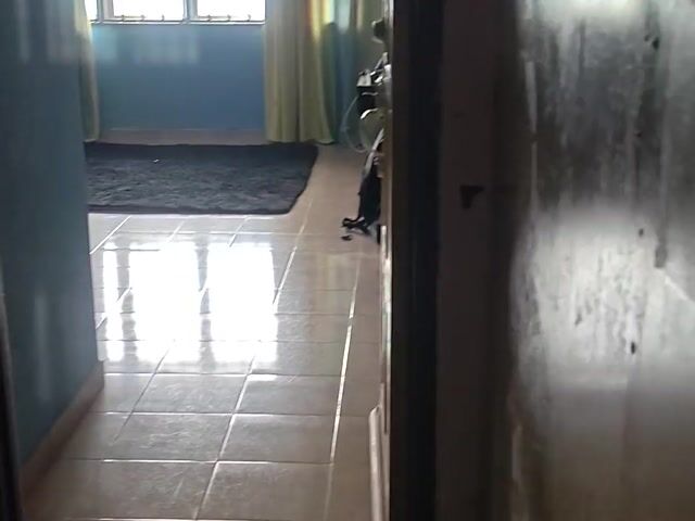Video Image 1