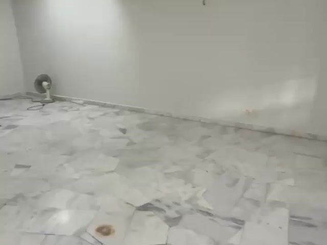 Video Image 1