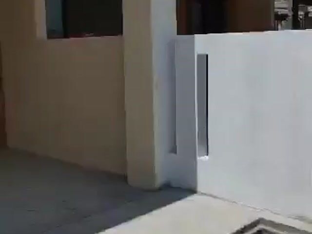 Video Image 1