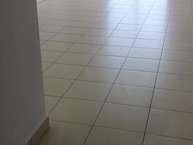 Video Image 1