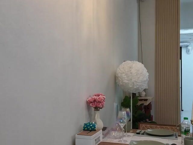 Video Image 1