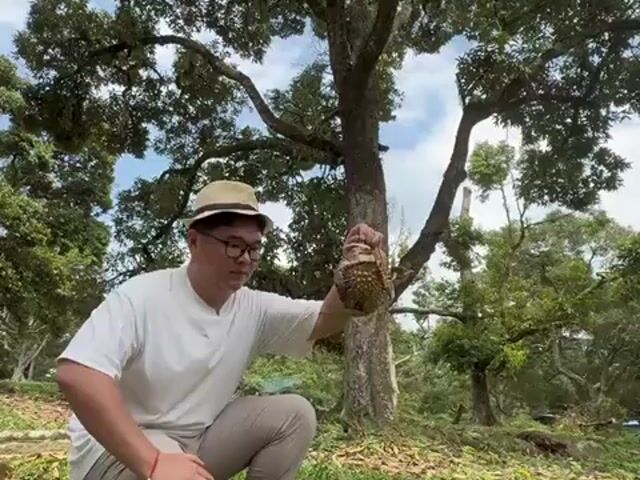 Video Image 1