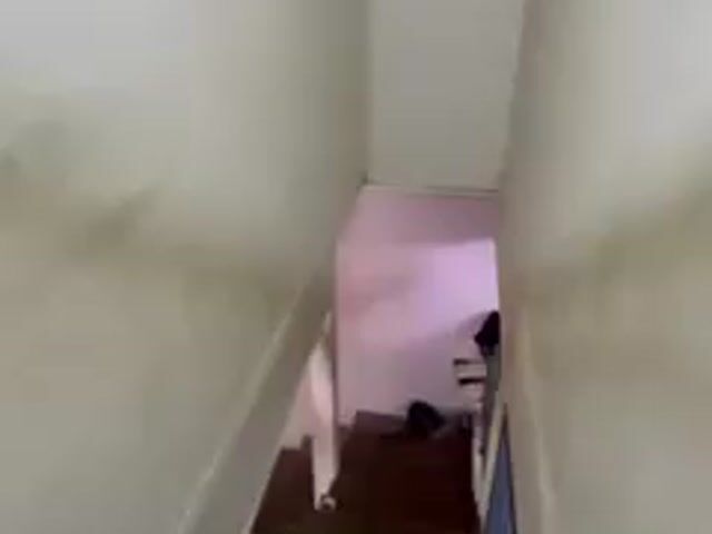Video Image 1
