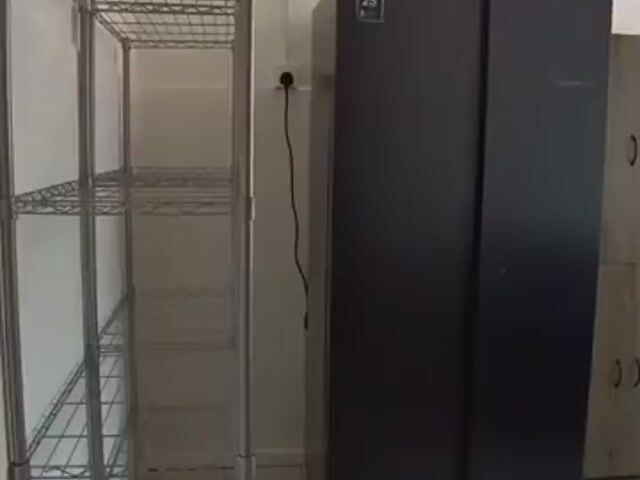 Video Image 1