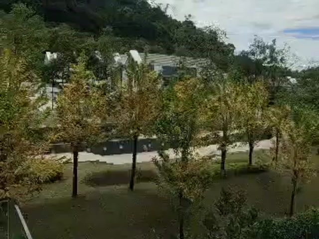 Video Image 1