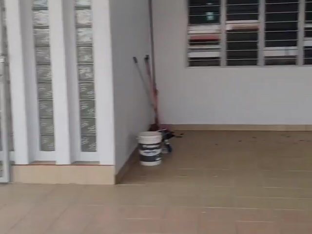Video Image 1