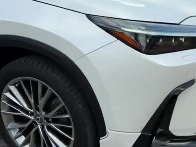 2022 Lexus NX 250 2.5 LUXURY Modellista Package - 1