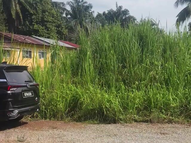 Video Image 1