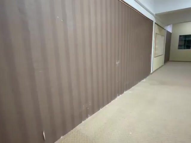 Video Image 1