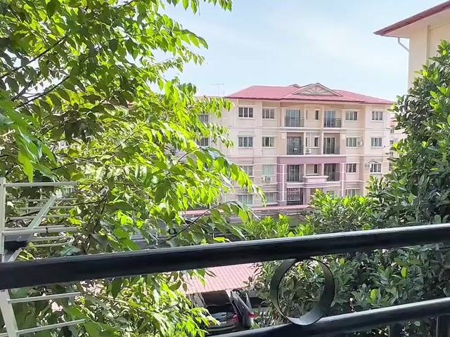 Video Image 1
