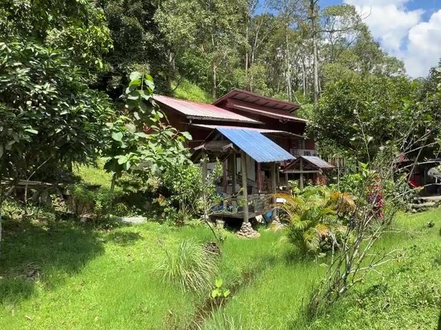 Video Image 1
