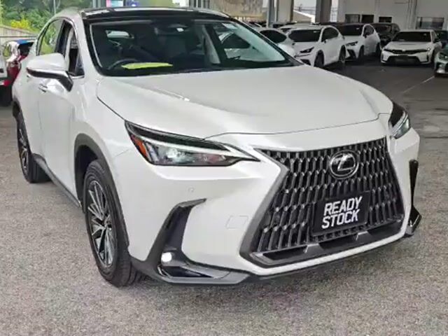 2023 Lexus NX250 2.5 BASE GRADE (A) BLACK LEATHER - 1