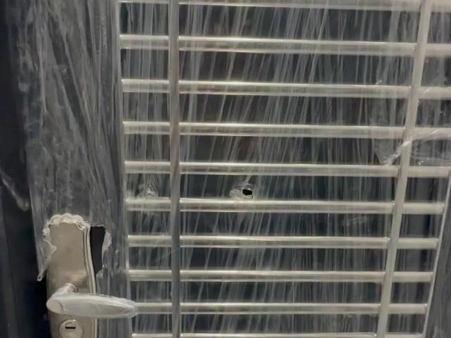 Video Image 1