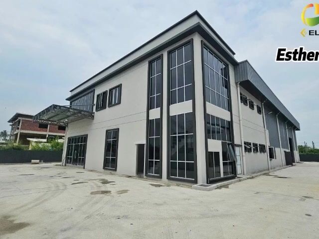 Video Image 1