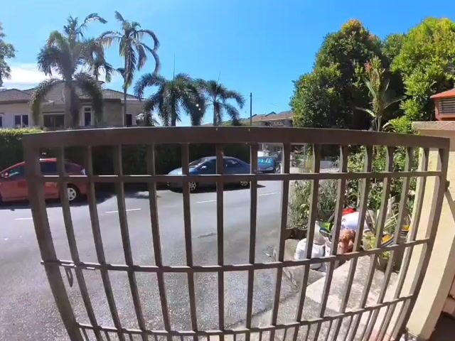 Video Image 1