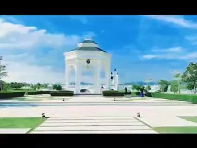 Video Image 1