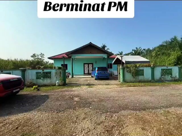 Video Image 1