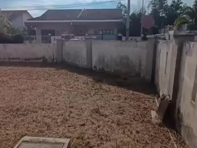 Video Image 1