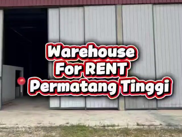 Video Image 1