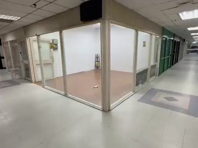 Video Image 1