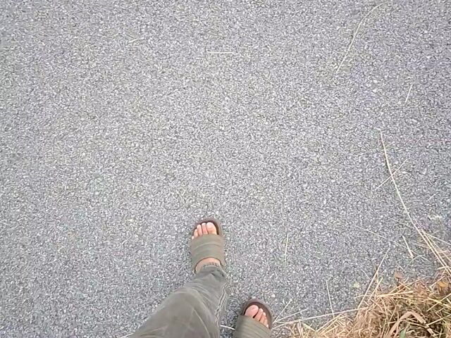 Video Image 1