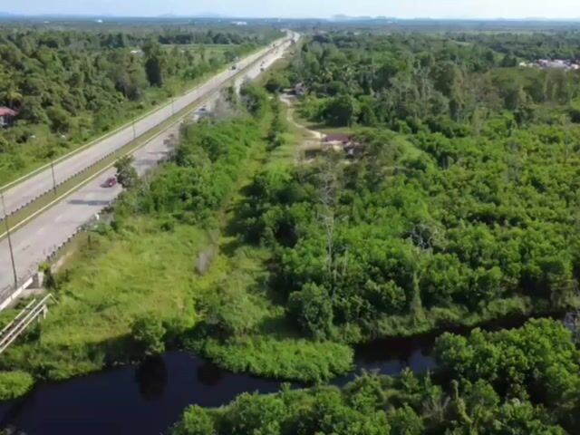 Video Image 1