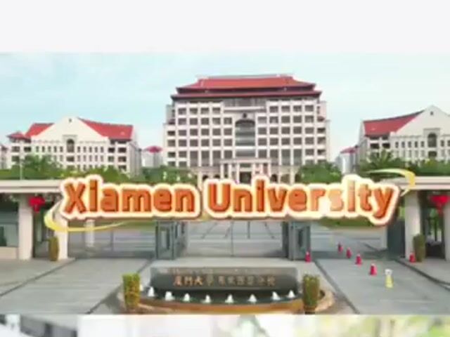 Video Image 1