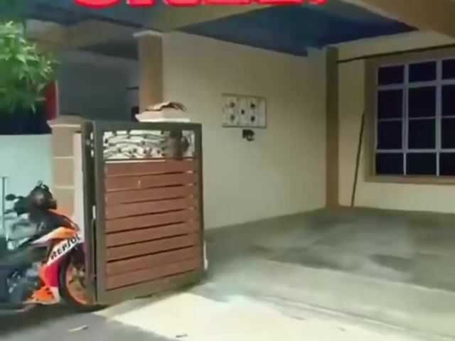 Video Image 1