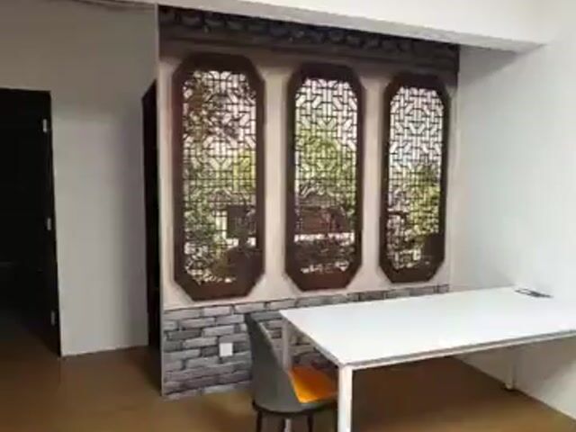 Video Image 1