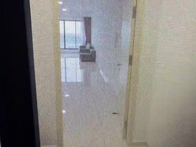 Video Image 1