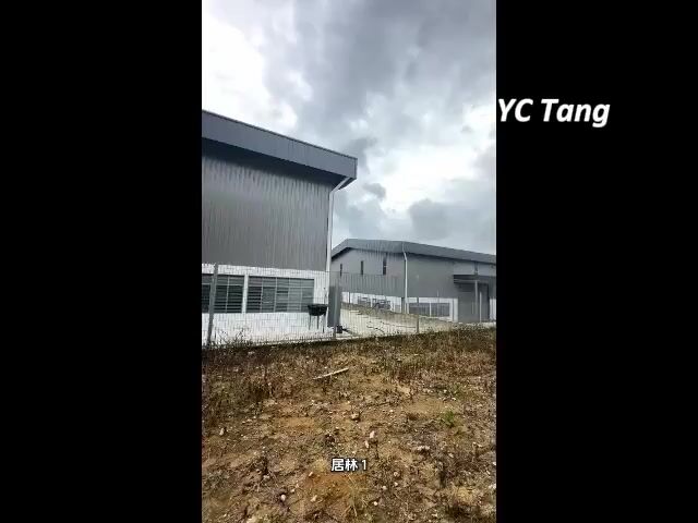 Video Image 1