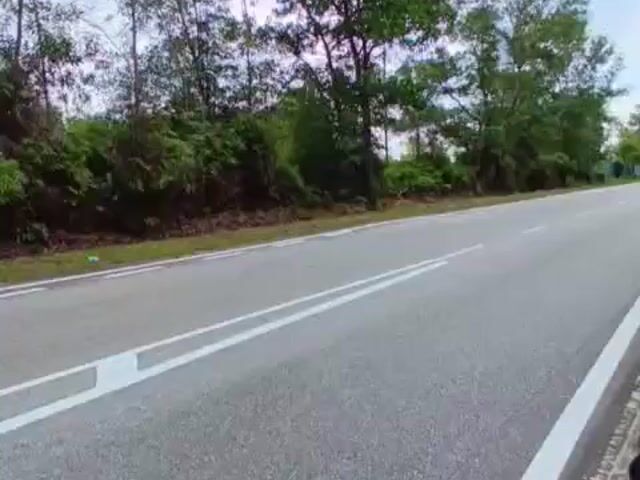 Video Image 1