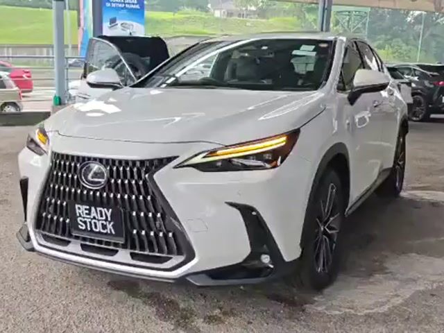 2023 Lexus NX250 2.5 LUXURY (A) 5A - 8 YRS WRNTY - 1
