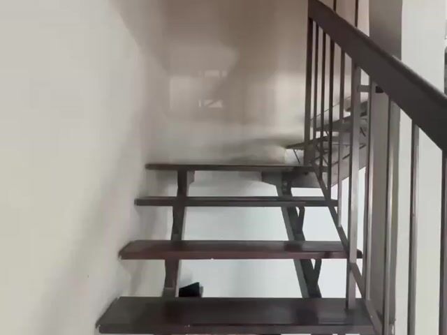 Video Image 1
