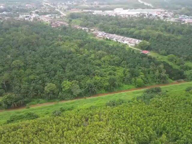 Video Image 1