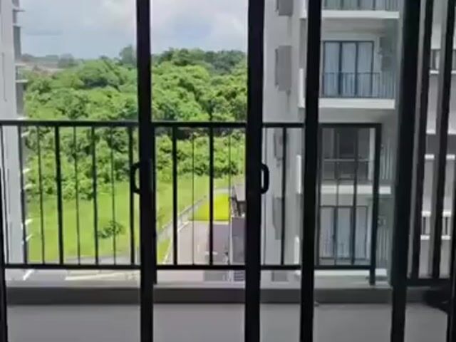 Video Image 1