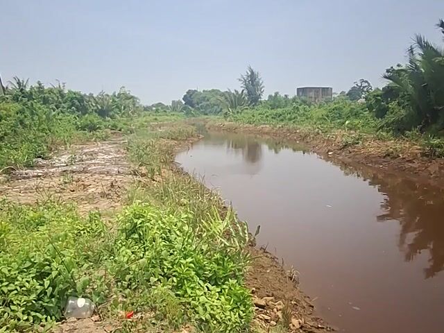 Video Image 1