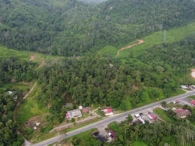 Video Image 1