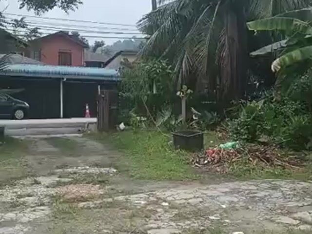 Video Image 1