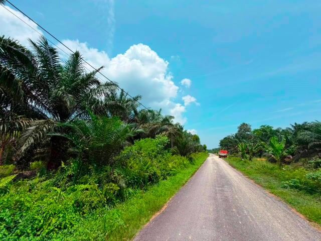 Video Image 1