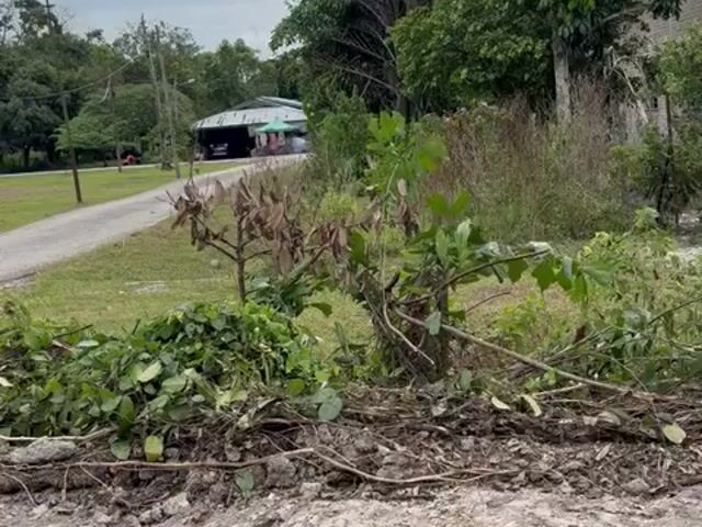 Video Image 1