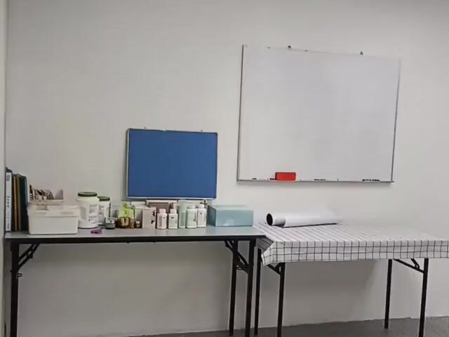 Video Image 1