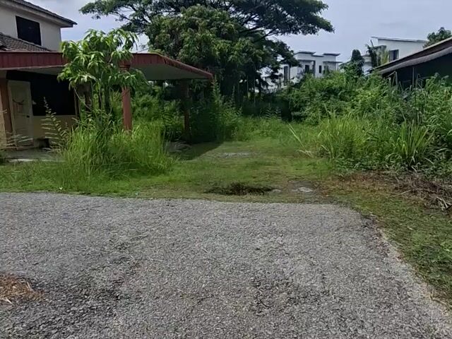 Video Image 1