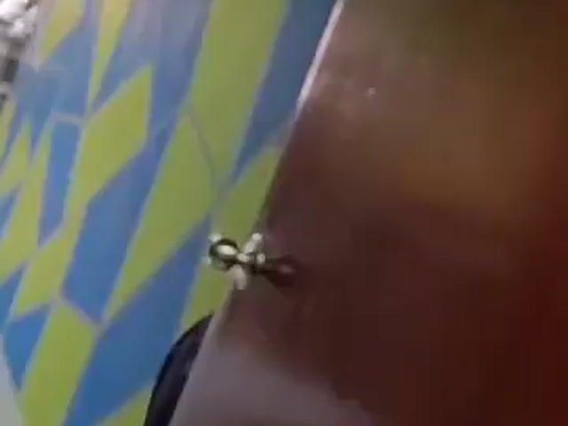 Video Image 1